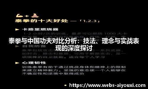 泰拳与中国功夫对比分析：技法、理念与实战表现的深度探讨